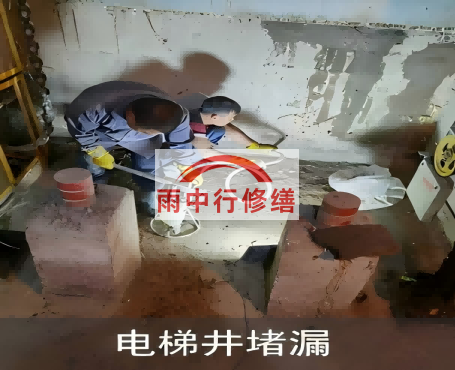云阳星雨华府电梯井堵漏案例